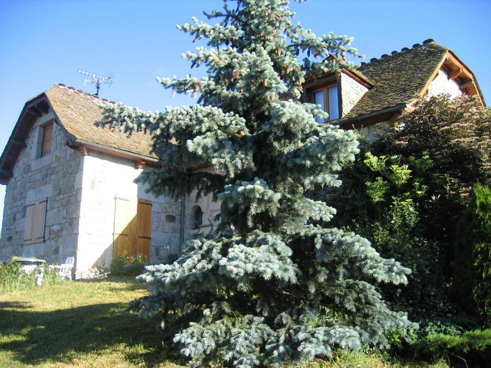 Lozere Aubrac Margeride Promo Apartment Saint-Alban-sur-Limagnole Exterior photo